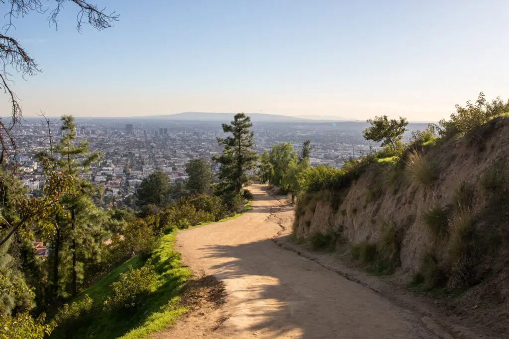 A nature path at griffith park in los angeles california