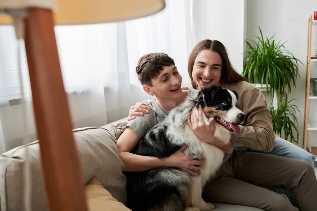 Smiling lgbt couple in casual clothes petting friendly Australian shepherd dog while sitting